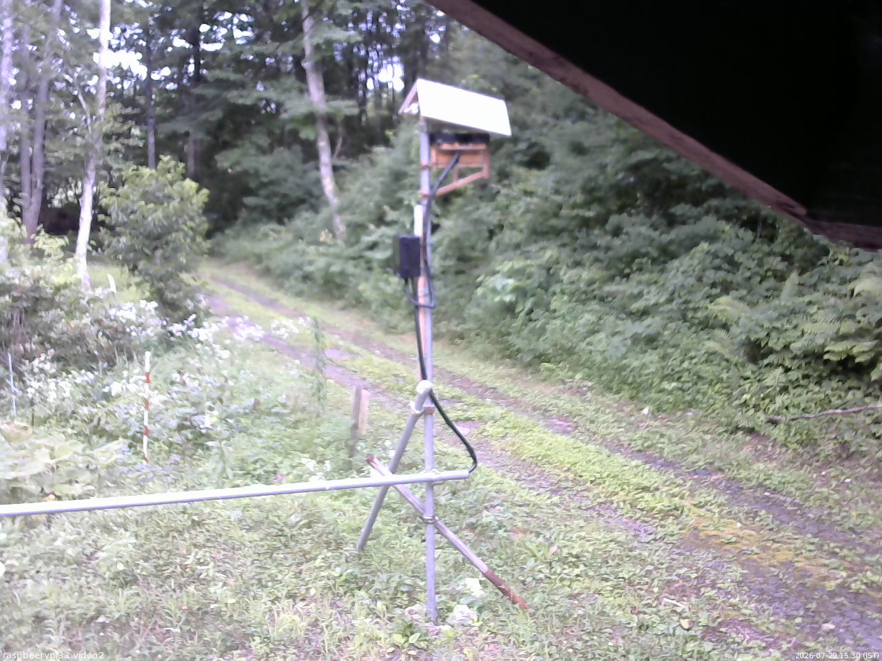 長野県菅平高原 ゆたか山荘 南側 2026/07/29 15:30
