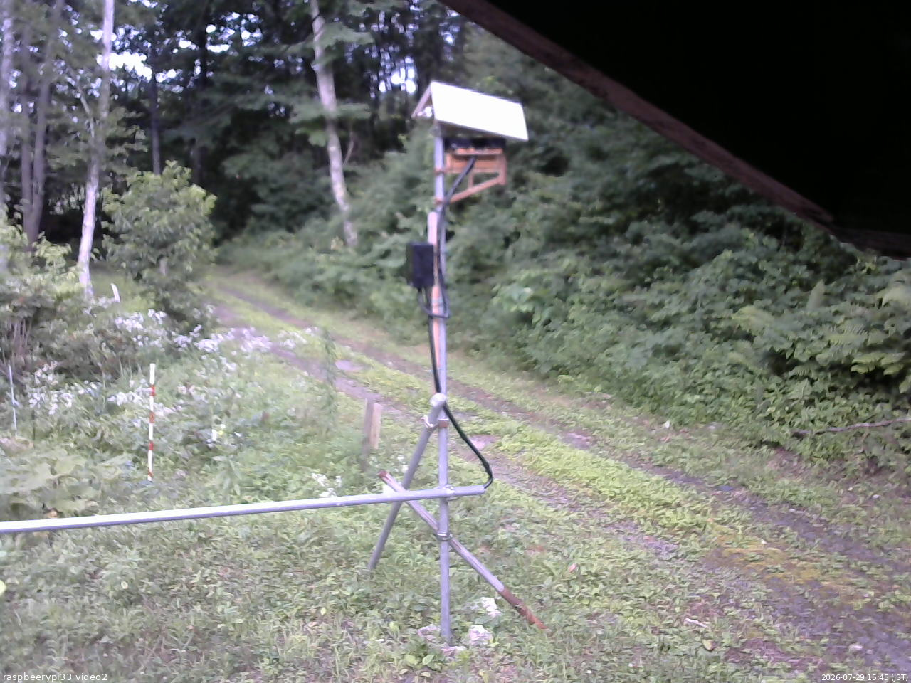 長野県菅平高原 ゆたか山荘 南側 2026/07/29 15:45