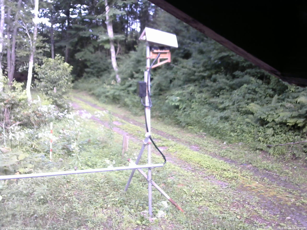 長野県菅平高原 ゆたか山荘 南側 2026/07/29 16:45
