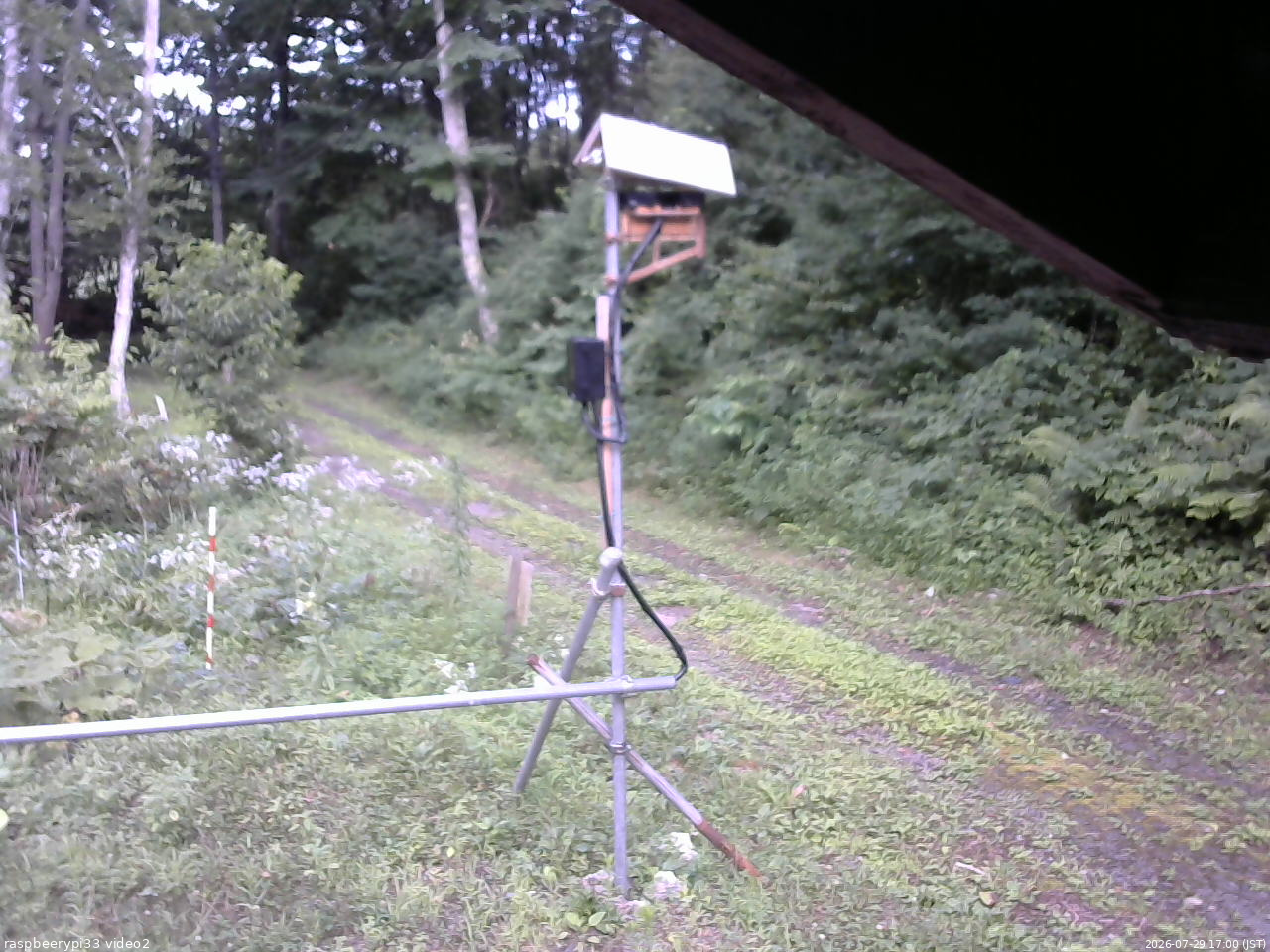 長野県菅平高原 ゆたか山荘 南側 2026/07/29 17:00