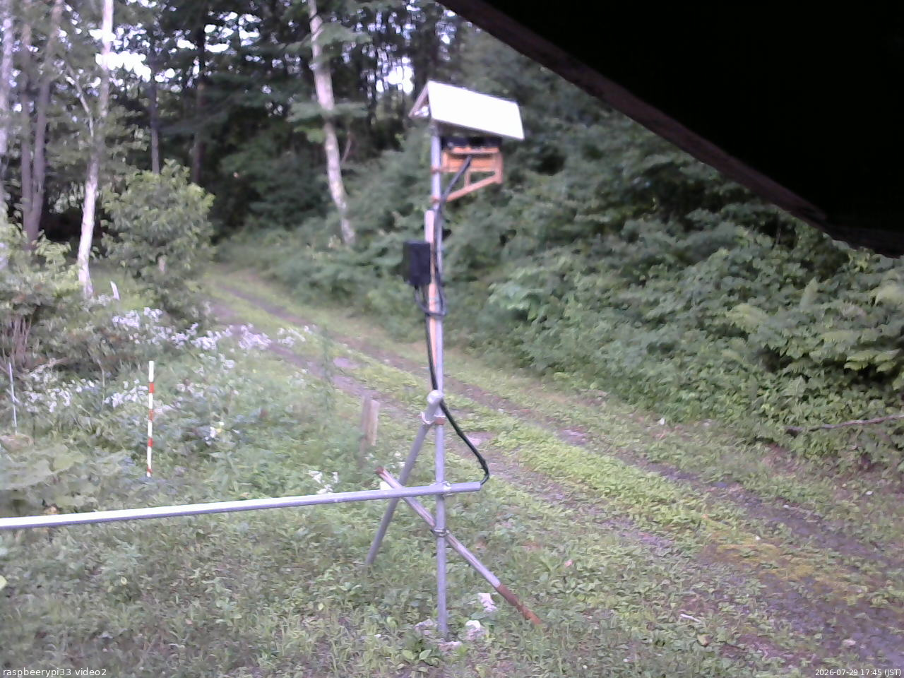 長野県菅平高原 ゆたか山荘 南側 2026/07/29 17:45