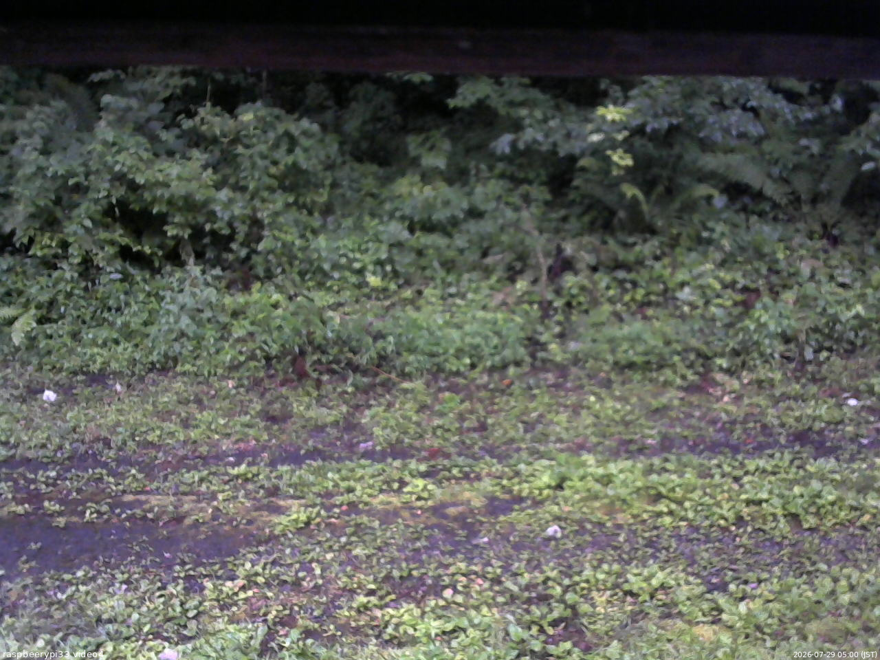 長野県菅平高原 ゆたか山荘 東側(坂下) 2026/07/29 05:00