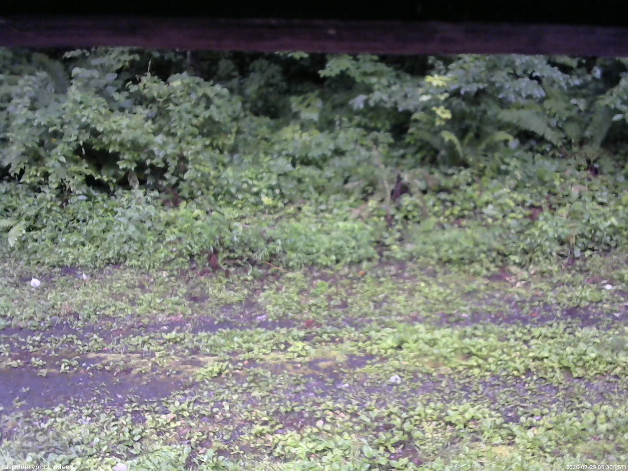 長野県菅平高原 ゆたか山荘 東側(坂下) 2026/07/29 05:30