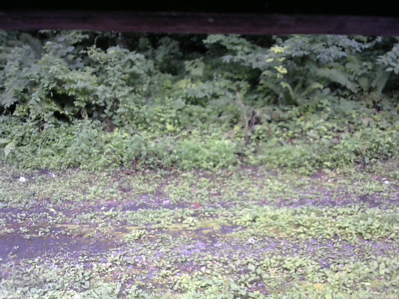 長野県菅平高原 ゆたか山荘 東側(坂下) 2026/07/29 08:00