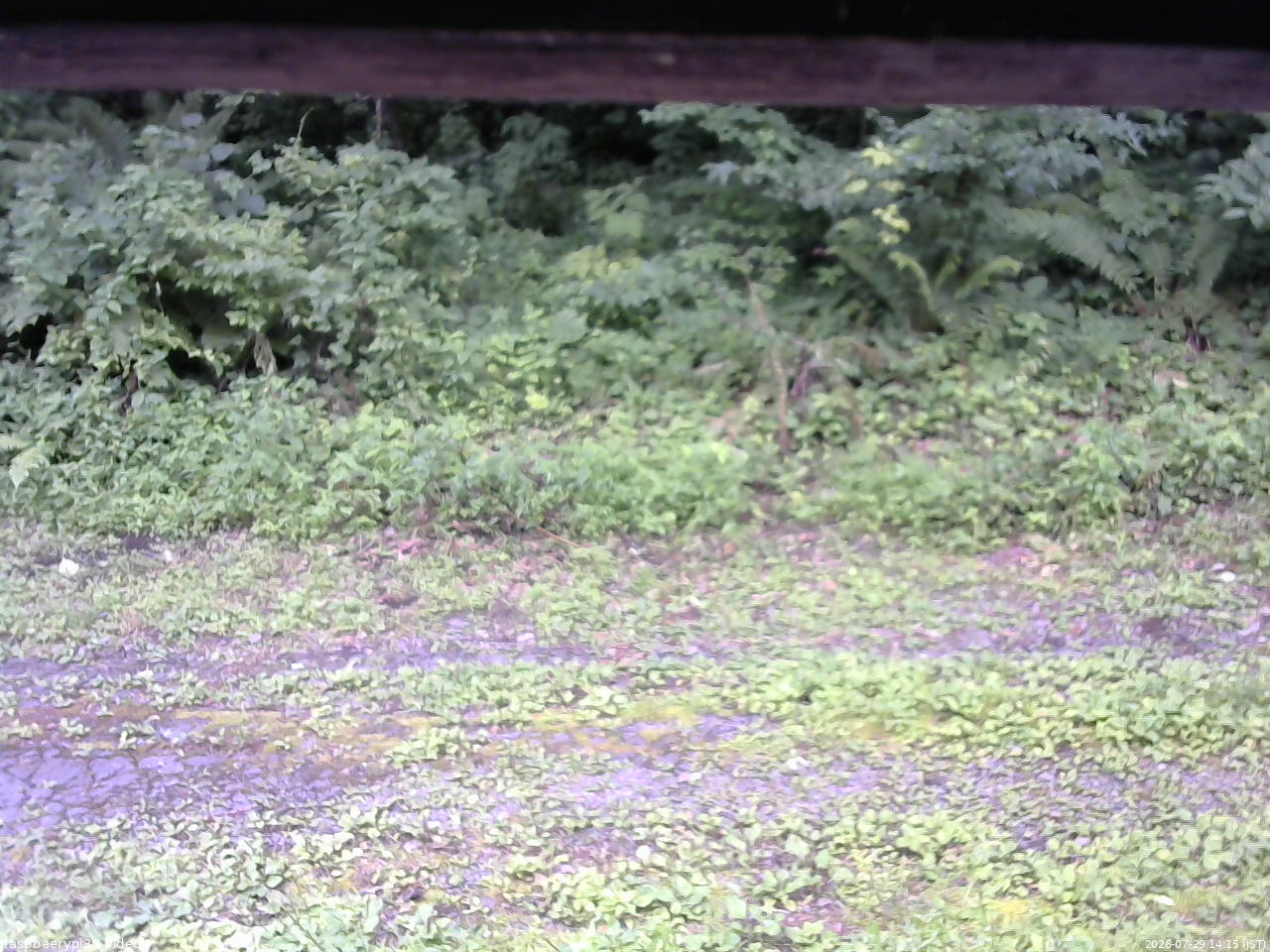 長野県菅平高原 ゆたか山荘 東側(坂下) 2026/07/29 14:15