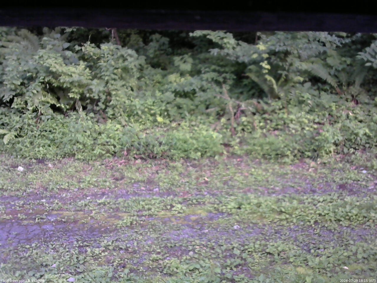 長野県菅平高原 ゆたか山荘 東側(坂下) 2026/07/29 18:15