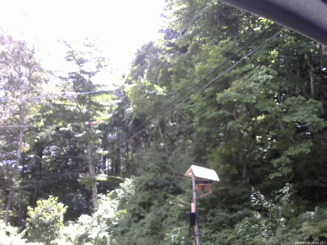 長野県菅平高原 ゆたか山荘 温度計 2026/07/29 11:00