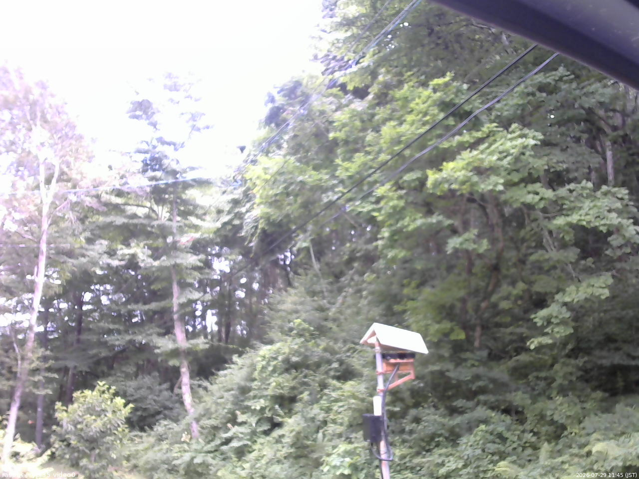 長野県菅平高原 ゆたか山荘 温度計 2026/07/29 11:45
