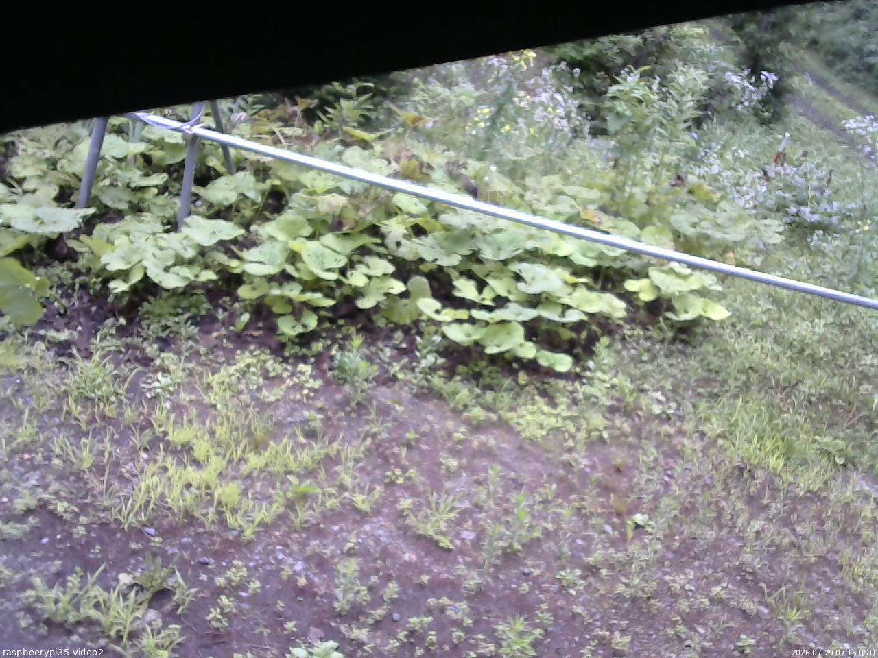 長野県菅平高原 ゆたか山荘 駐車場 2026/07/29 07:15