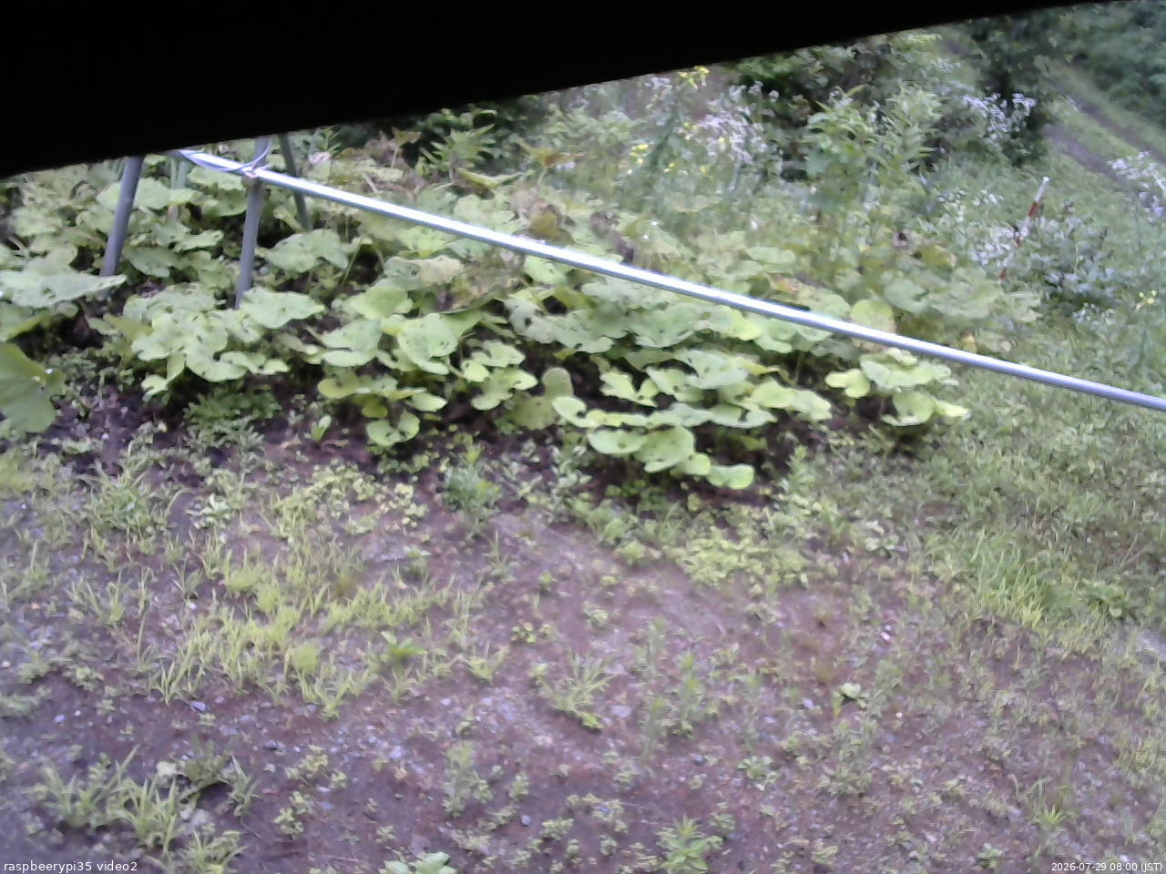 長野県菅平高原 ゆたか山荘 駐車場 2026/07/29 08:00