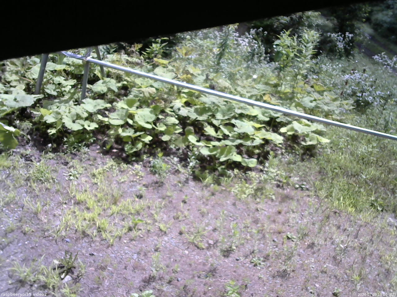 長野県菅平高原 ゆたか山荘 駐車場 2026/07/29 10:00