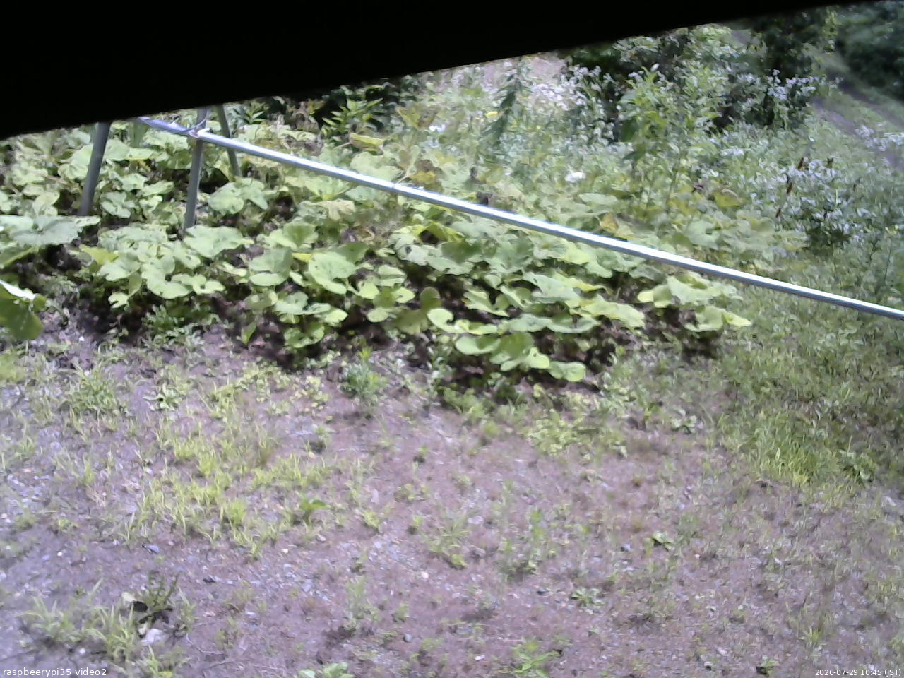 長野県菅平高原 ゆたか山荘 駐車場 2026/07/29 10:45
