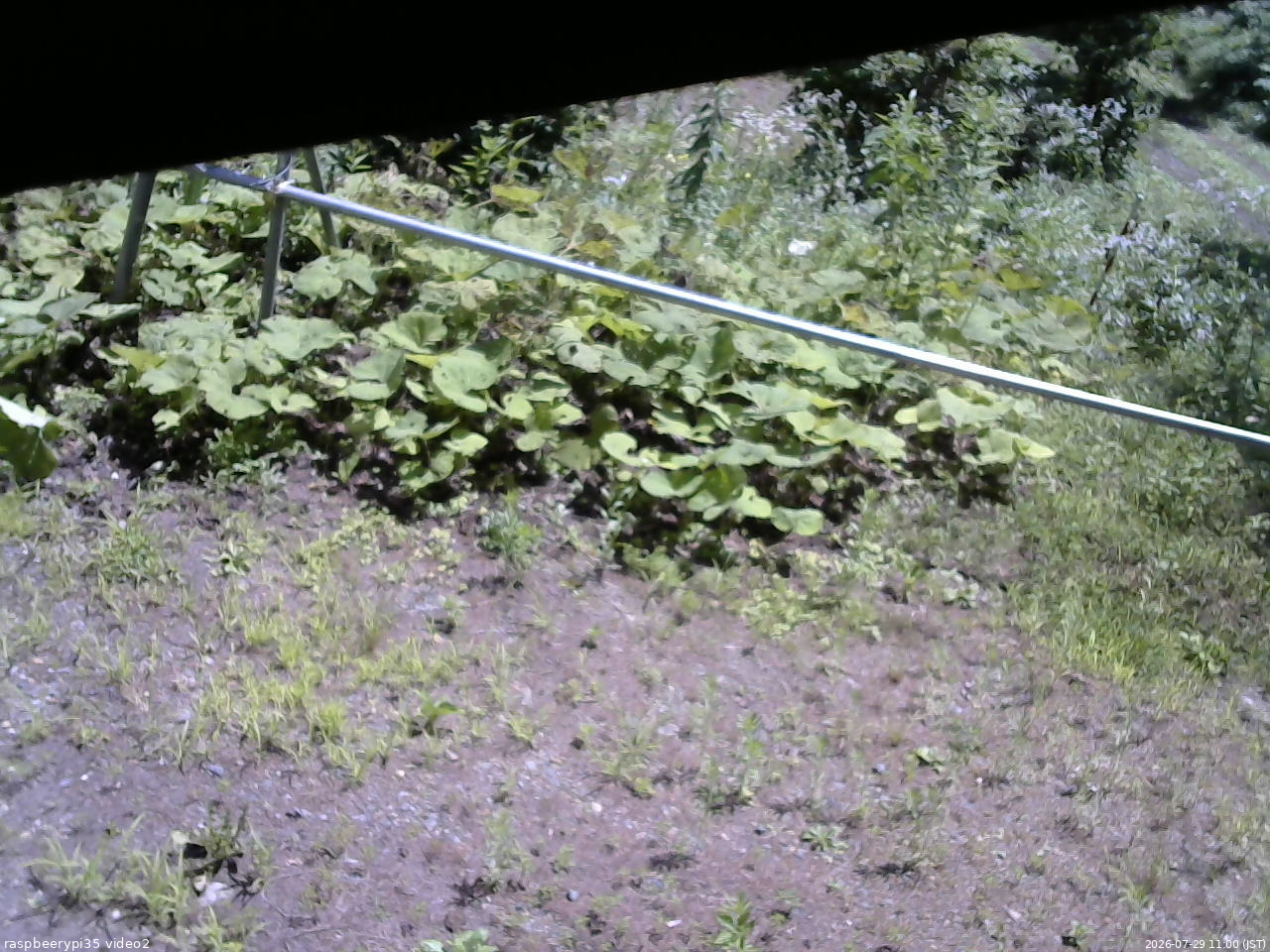 長野県菅平高原 ゆたか山荘 駐車場 2026/07/29 11:00