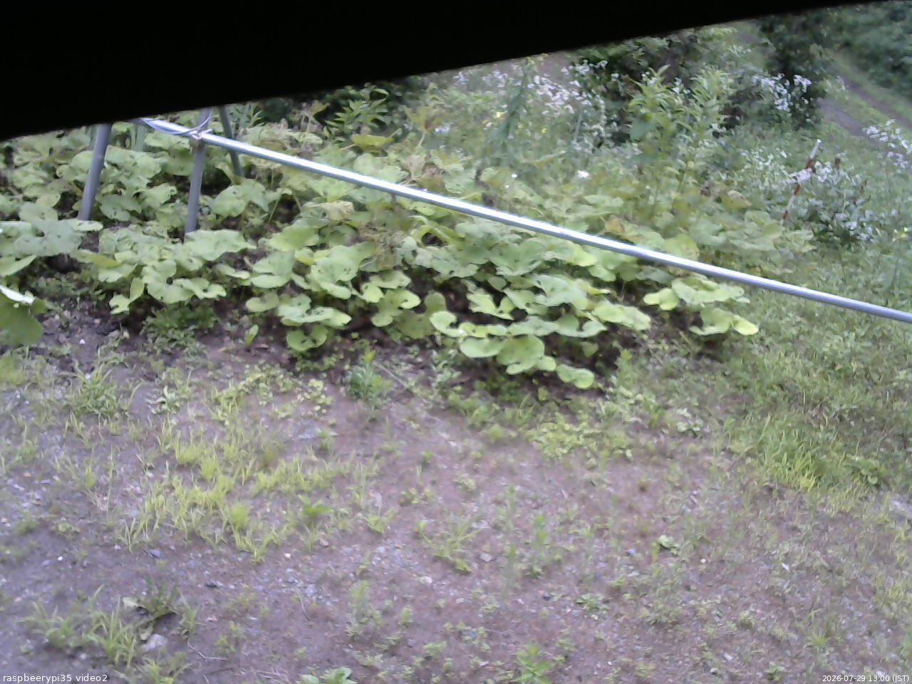 長野県菅平高原 ゆたか山荘 駐車場 2026/07/29 13:00