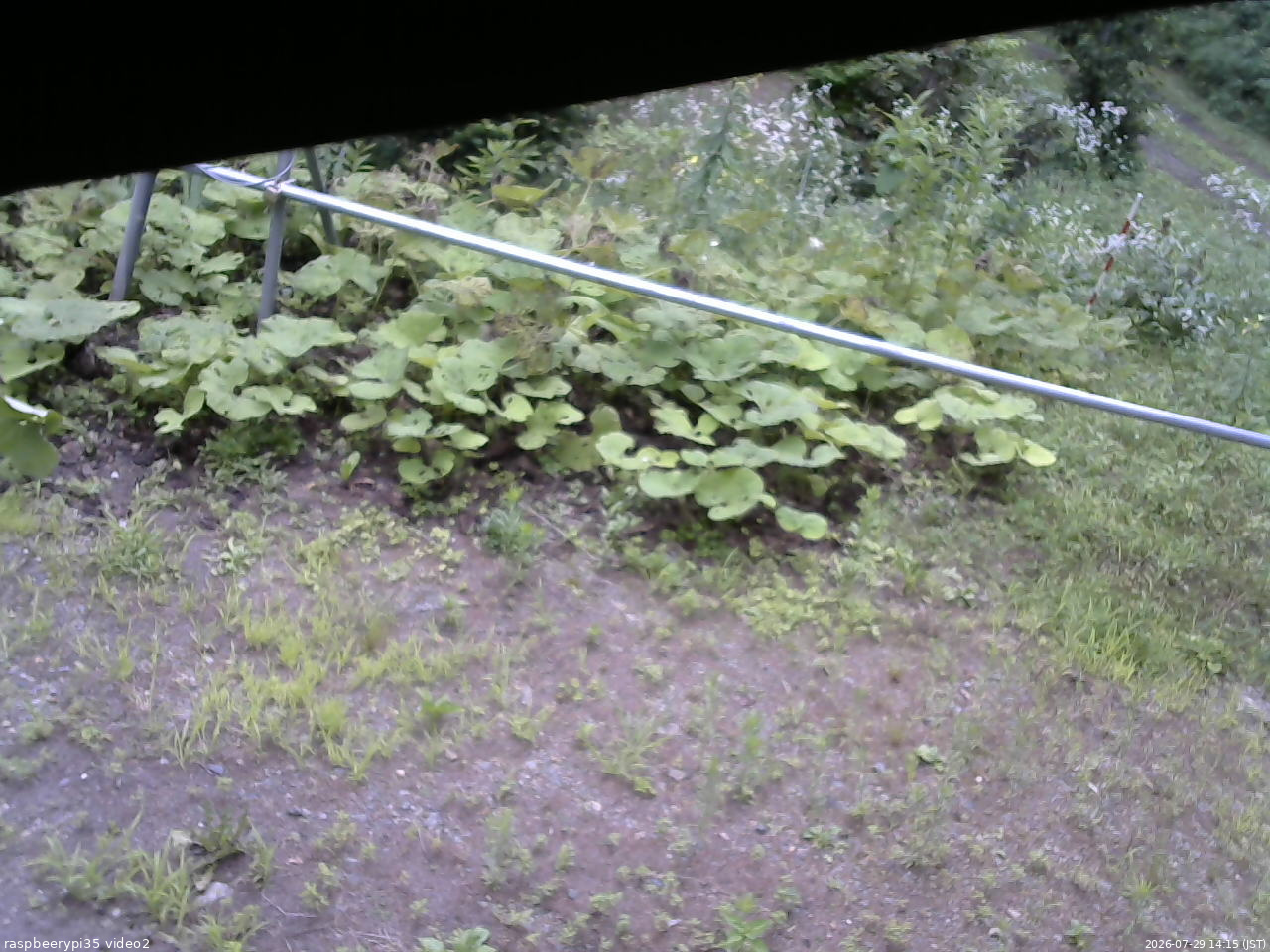 長野県菅平高原 ゆたか山荘 駐車場 2026/07/29 14:15