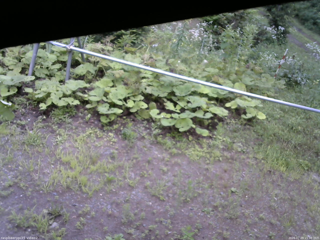 長野県菅平高原 ゆたか山荘 駐車場 2026/07/29 15:30