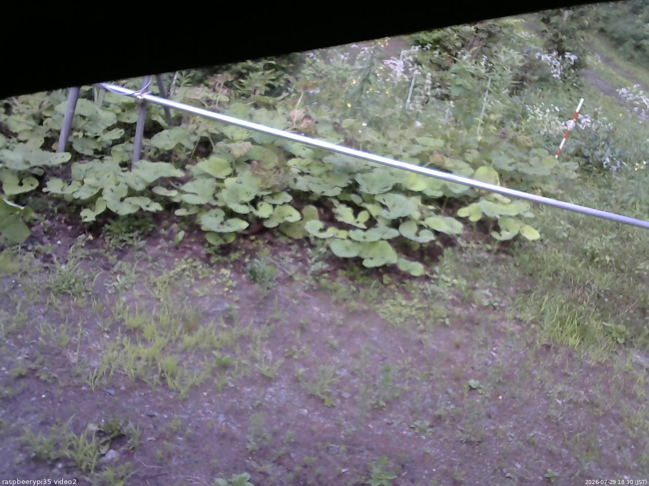 長野県菅平高原 ゆたか山荘 駐車場 2026/07/29 18:30