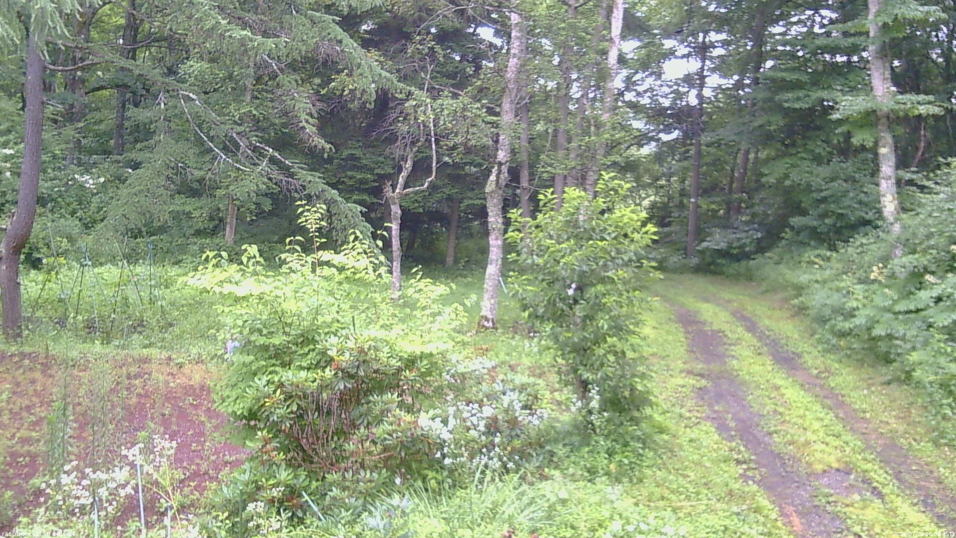 長野県菅平高原 ゆたか山荘 坂上 2026/07/29 06:00