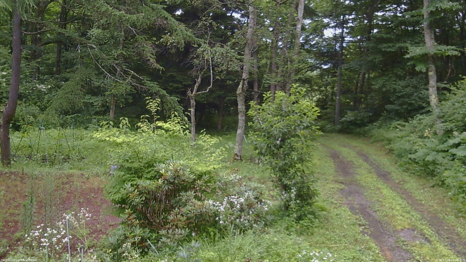 長野県菅平高原 ゆたか山荘 坂上 2026/07/29 08:00