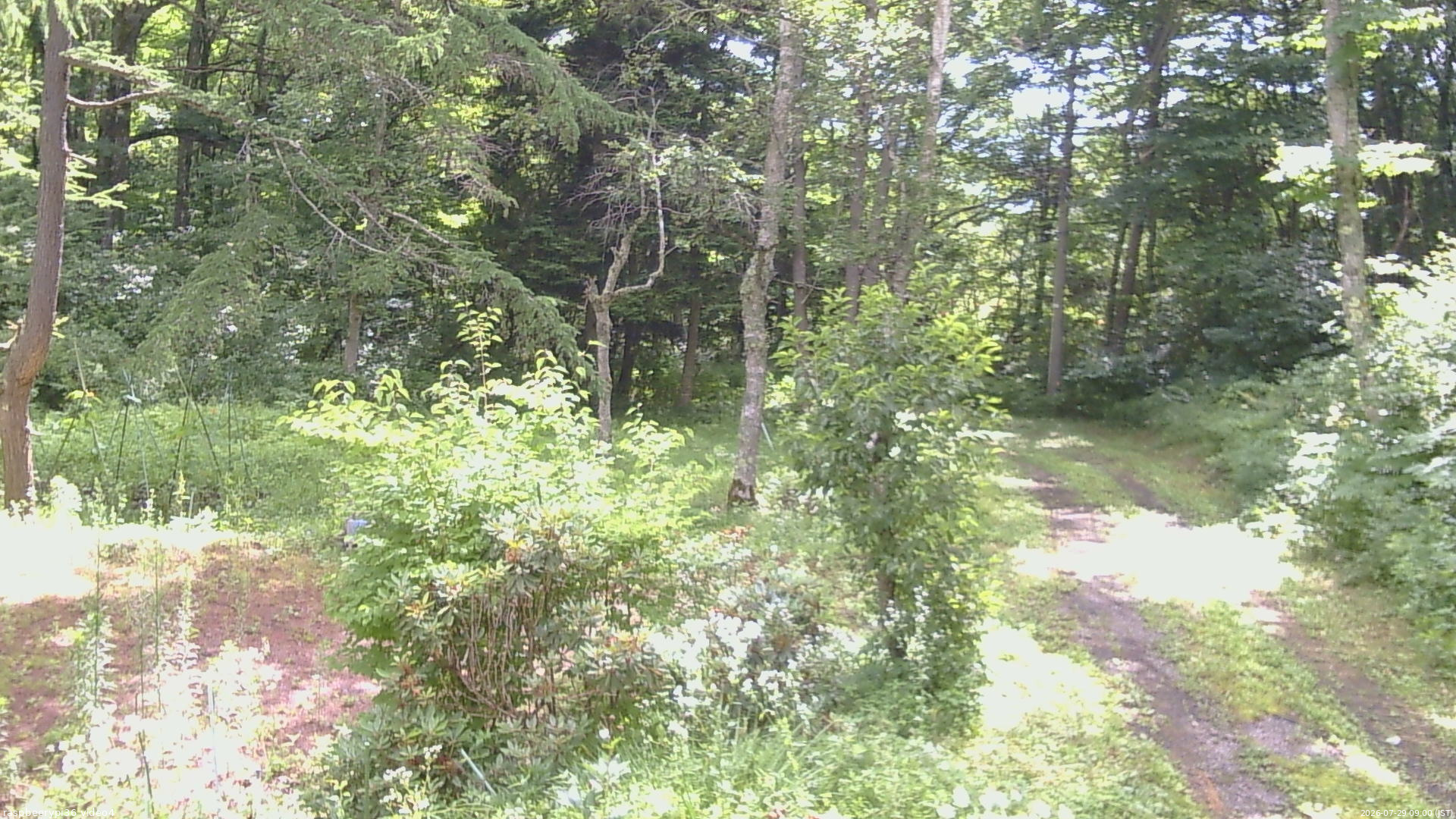 長野県菅平高原 ゆたか山荘 坂上 2026/07/29 09:00