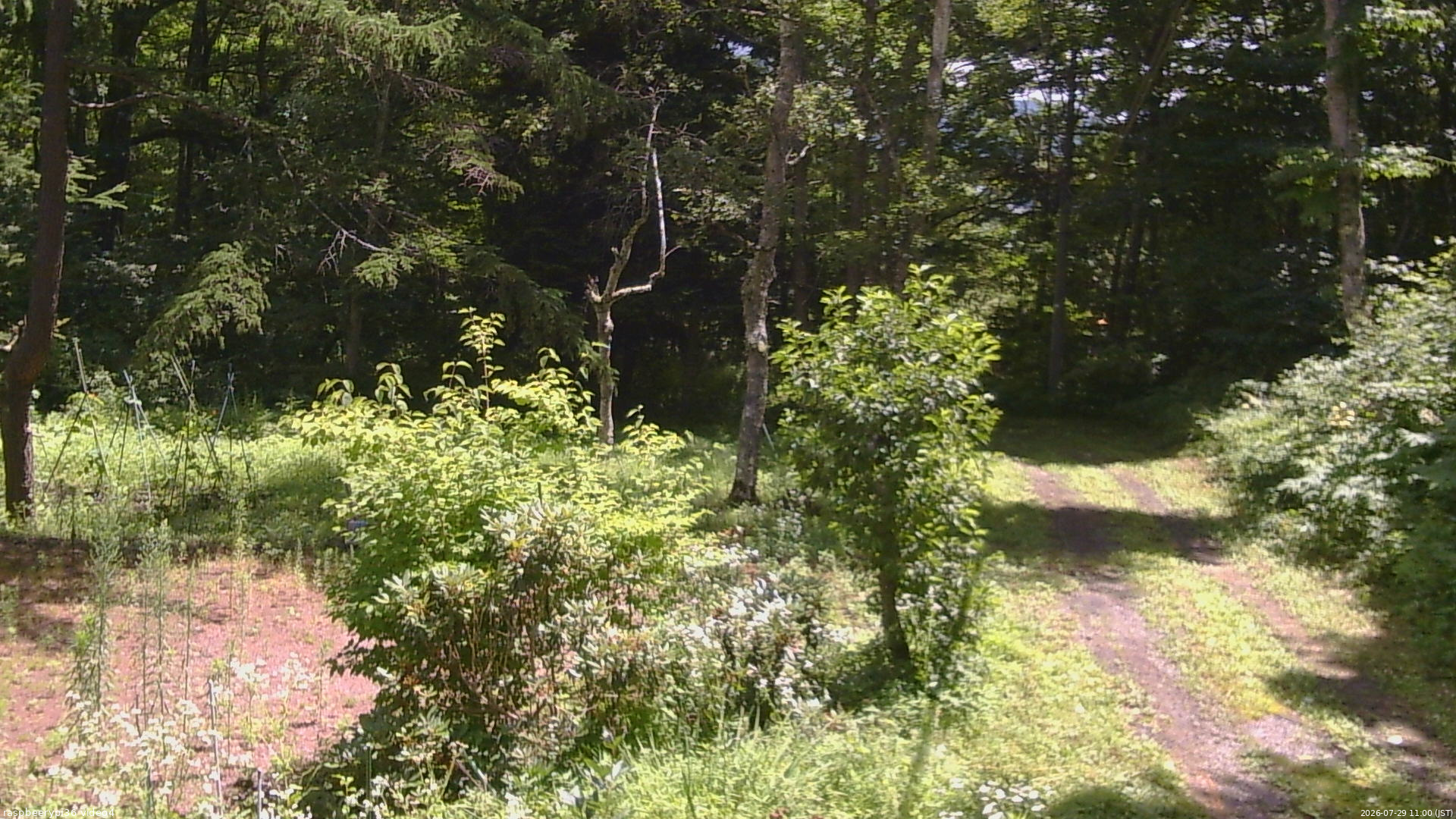 長野県菅平高原 ゆたか山荘 坂上 2026/07/29 11:00