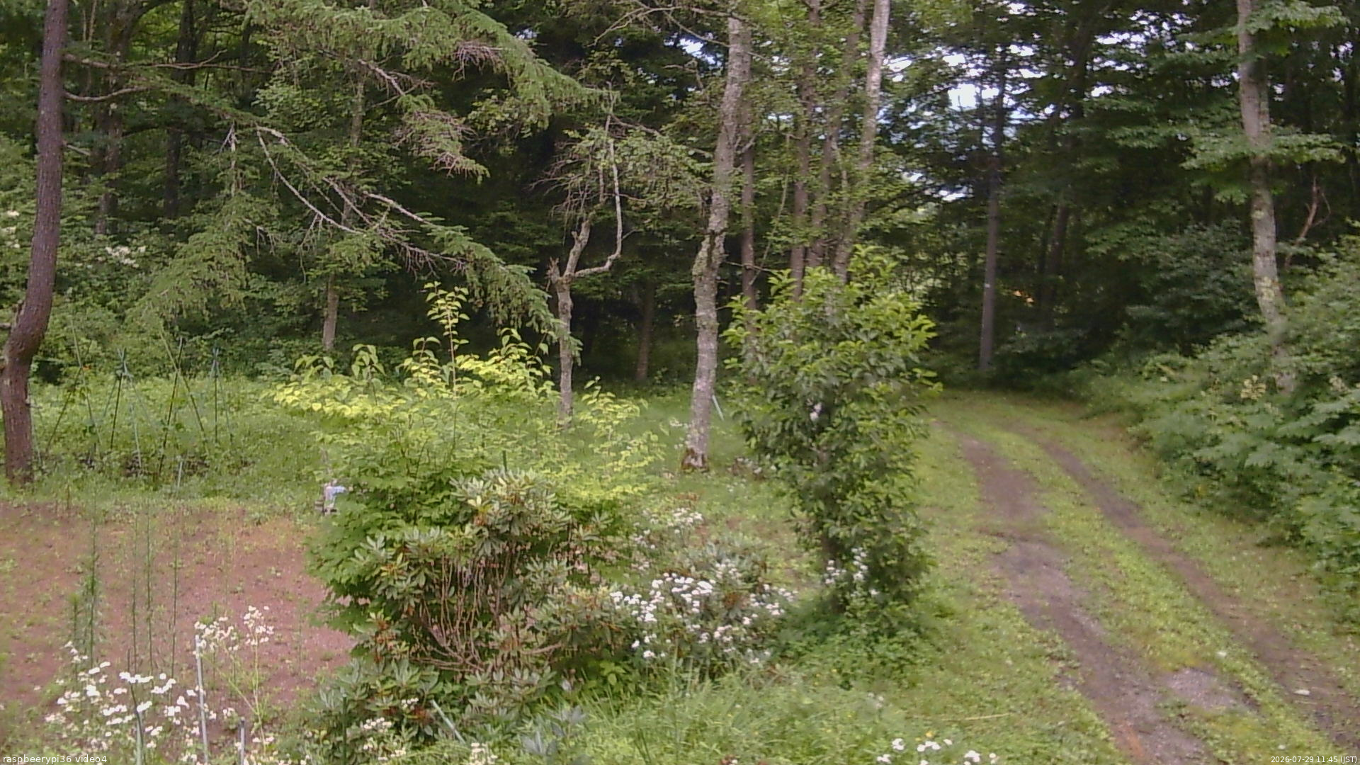 長野県菅平高原 ゆたか山荘 坂上 2026/07/29 11:45