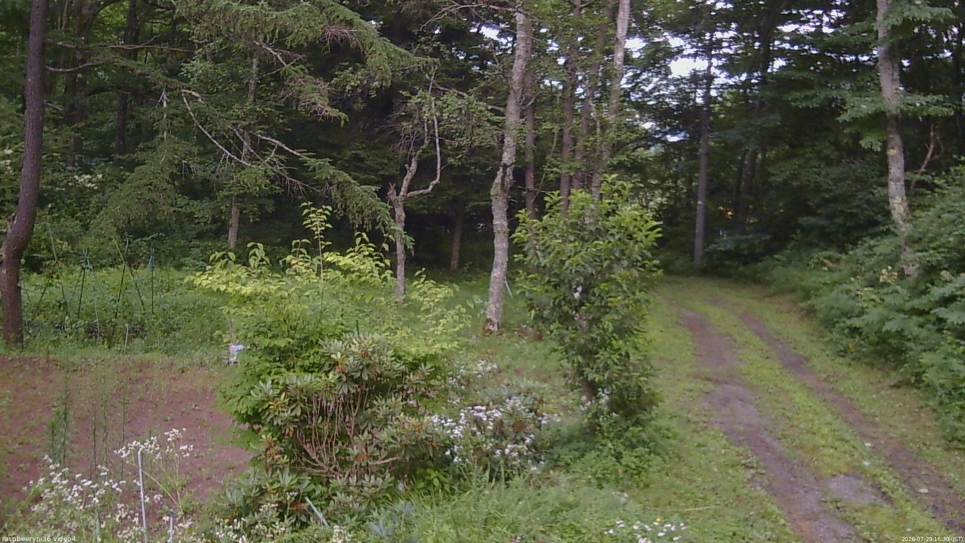 長野県菅平高原 ゆたか山荘 坂上 2026/07/29 16:30