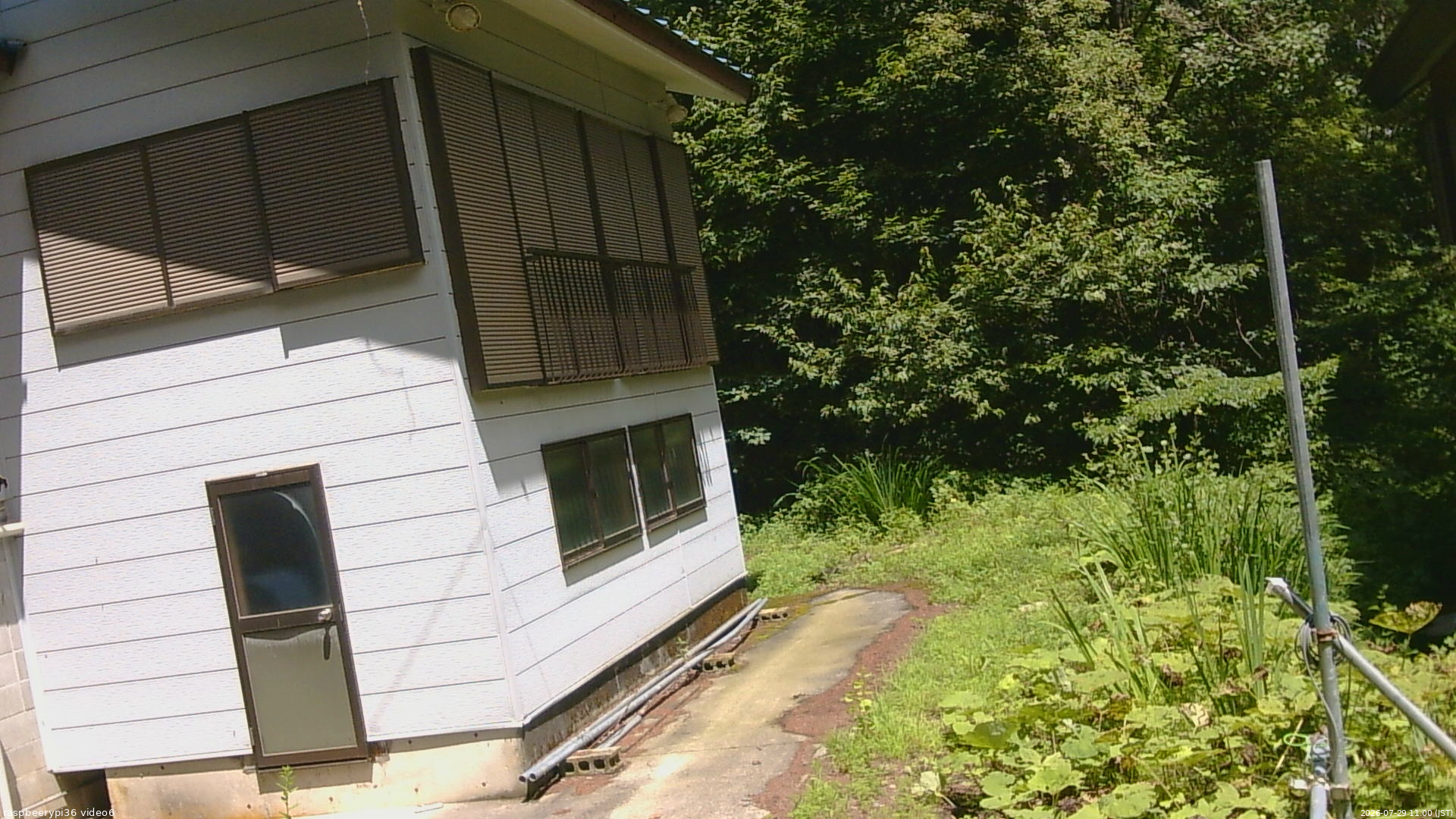 長野県菅平高原 ゆたか山荘 坂下 2026/07/29 11:00
