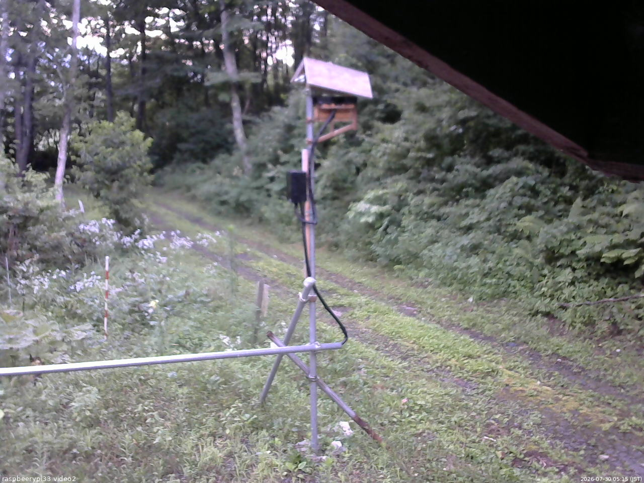 長野県菅平高原 ゆたか山荘 南側 2026/07/30 05:15