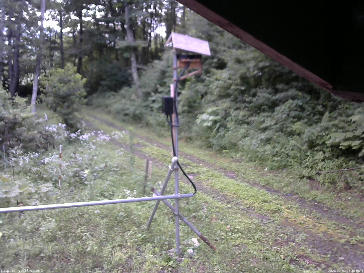 長野県菅平高原 ゆたか山荘 南側 2026/07/30 05:30