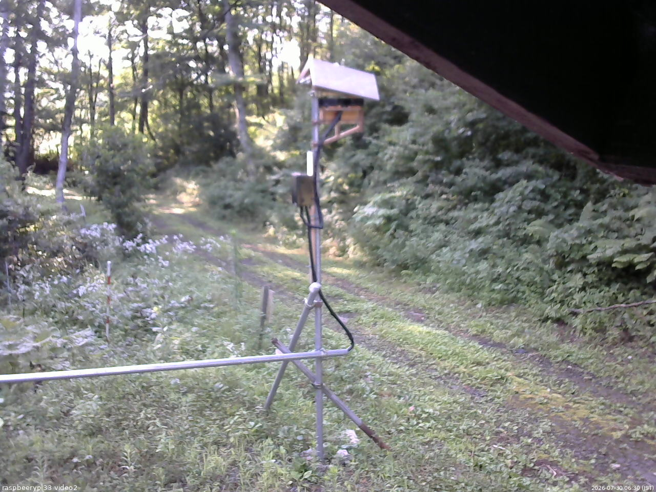 長野県菅平高原 ゆたか山荘 南側 2026/07/30 06:30