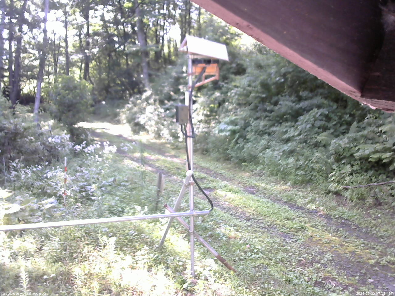 長野県菅平高原 ゆたか山荘 南側 2026/07/30 07:15