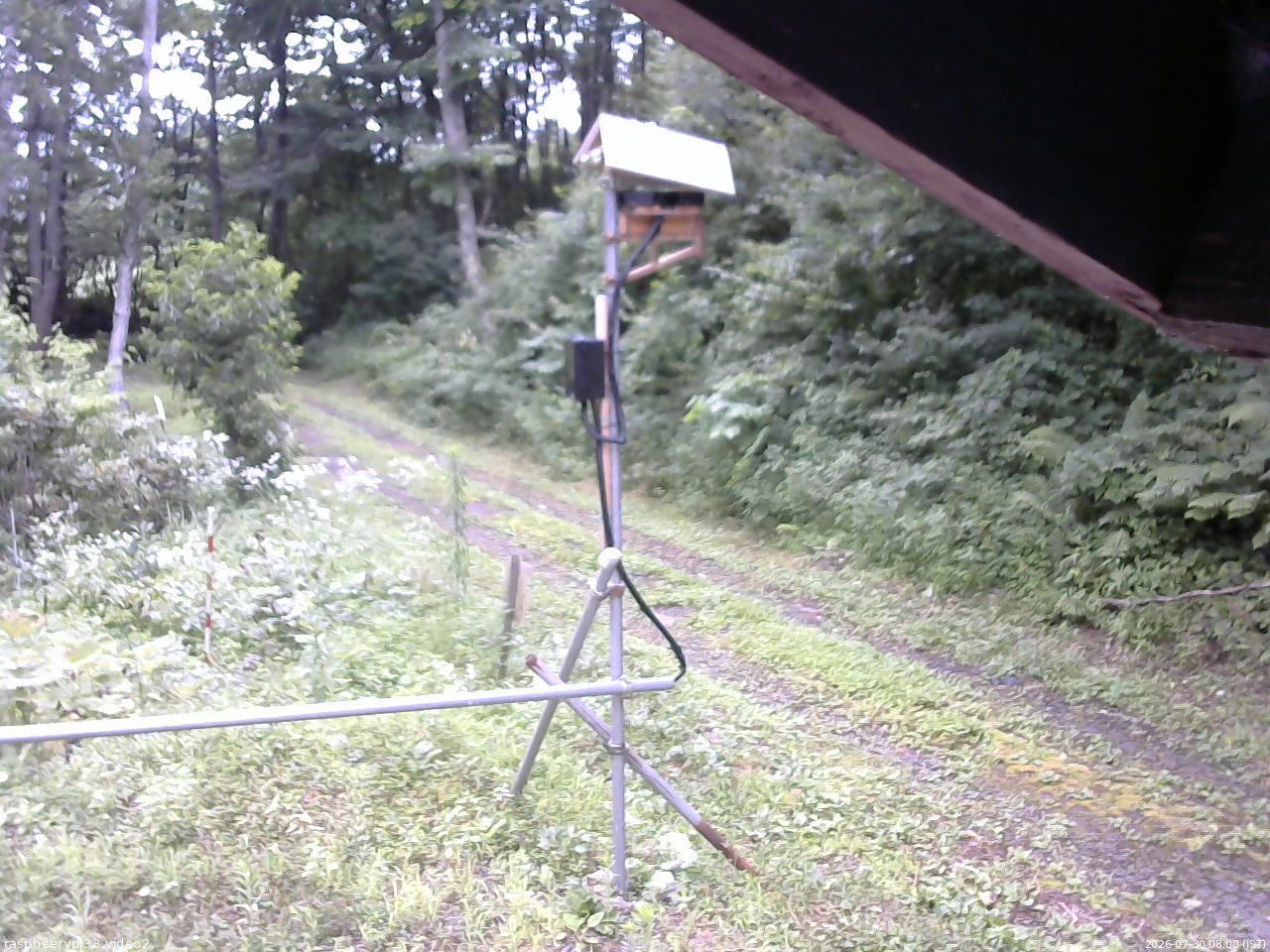 長野県菅平高原 ゆたか山荘 南側 2026/07/30 08:00