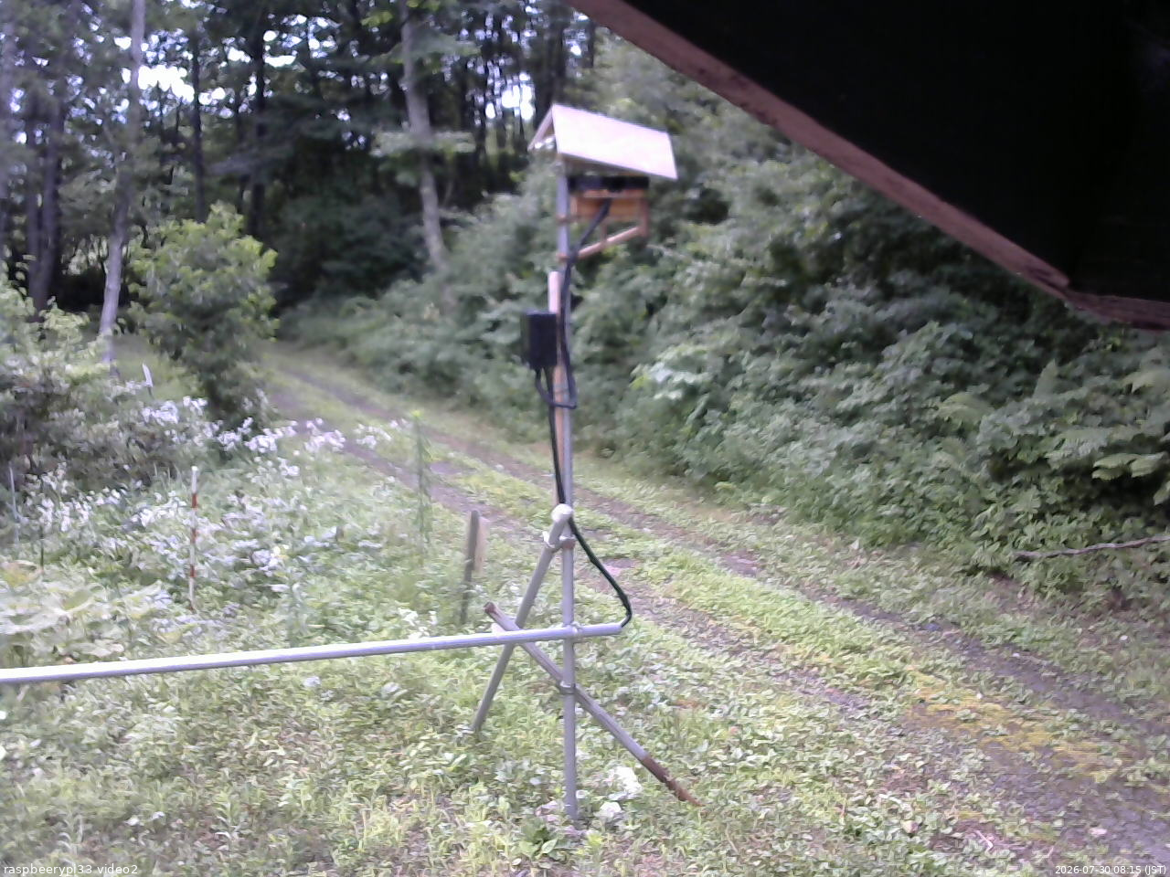 長野県菅平高原 ゆたか山荘 南側 2026/07/30 08:15
