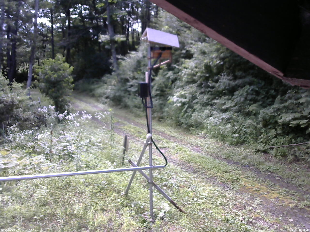 長野県菅平高原 ゆたか山荘 南側 2026/07/30 09:00