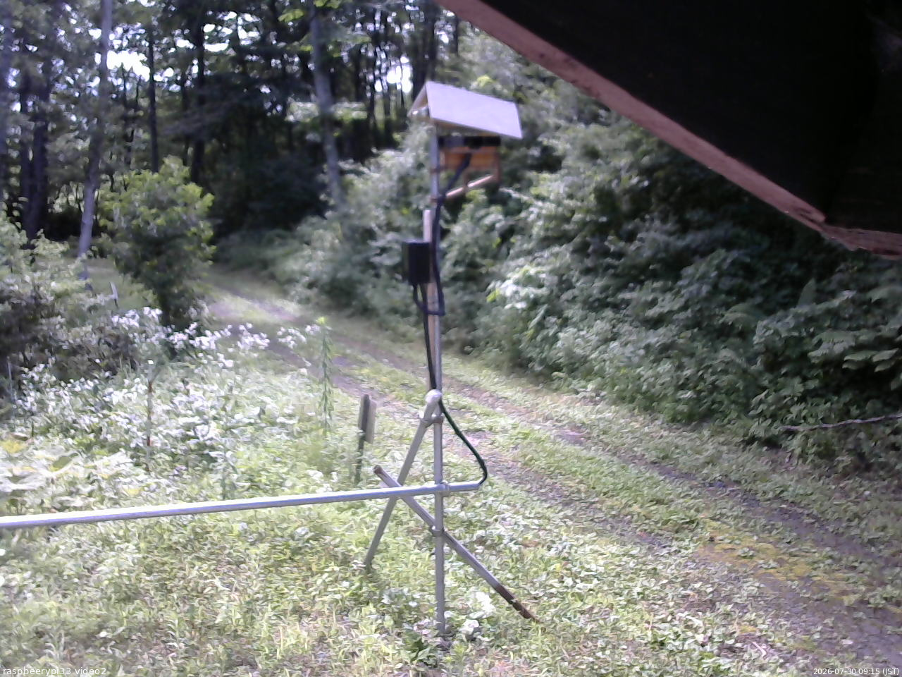 長野県菅平高原 ゆたか山荘 南側 2026/07/30 09:15
