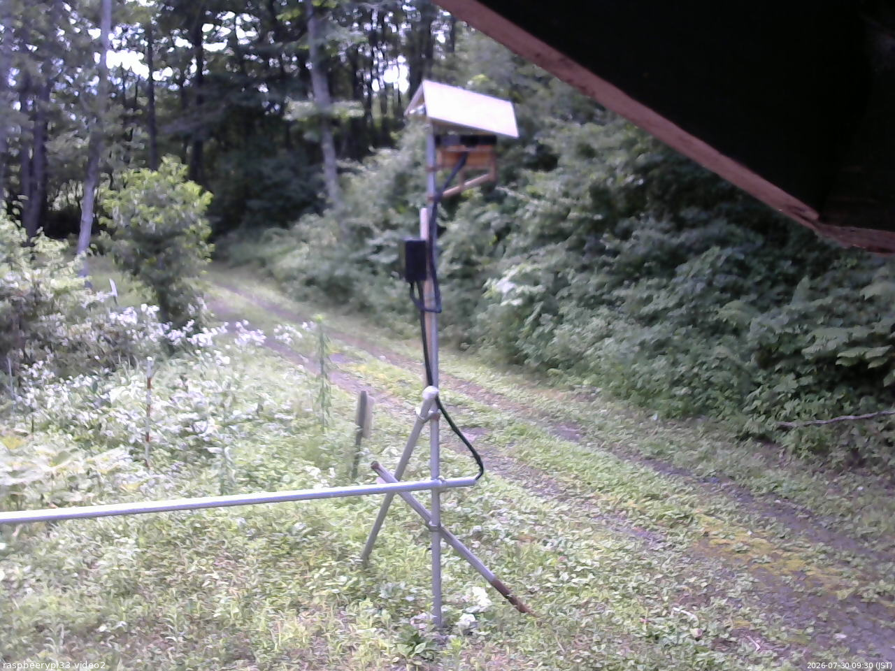 長野県菅平高原 ゆたか山荘 南側 2026/07/30 09:30