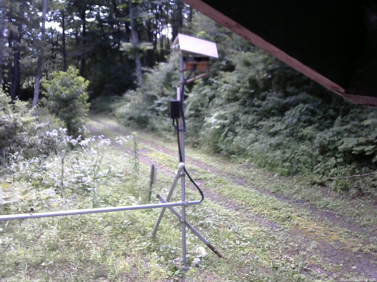 長野県菅平高原 ゆたか山荘 南側 2026/07/30 09:45