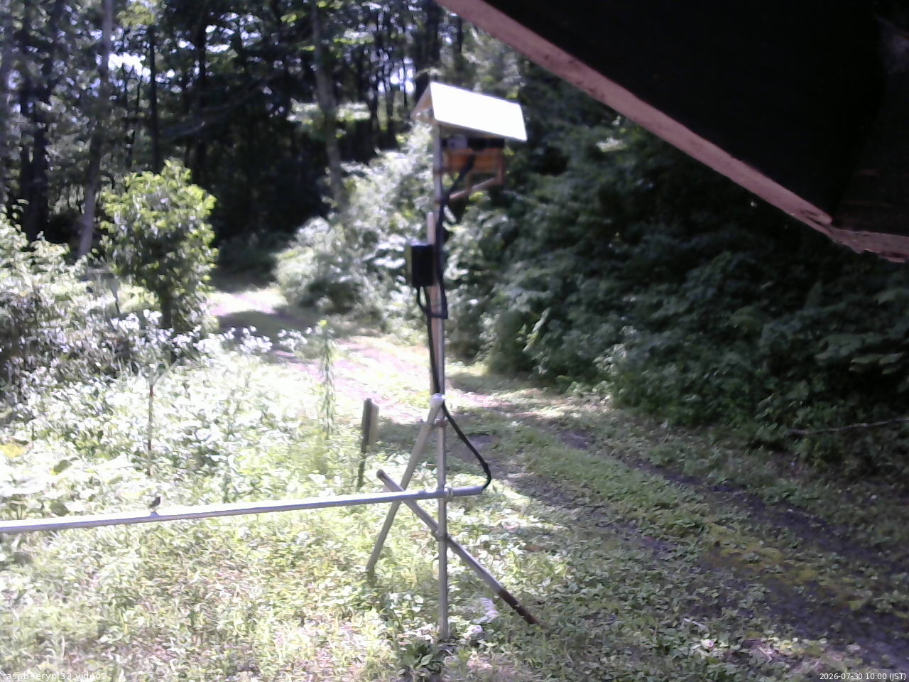 長野県菅平高原 ゆたか山荘 南側 2026/07/30 10:00