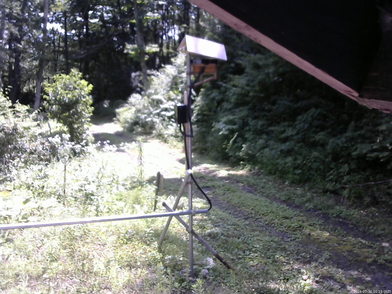 長野県菅平高原 ゆたか山荘 南側 2026/07/30 10:15