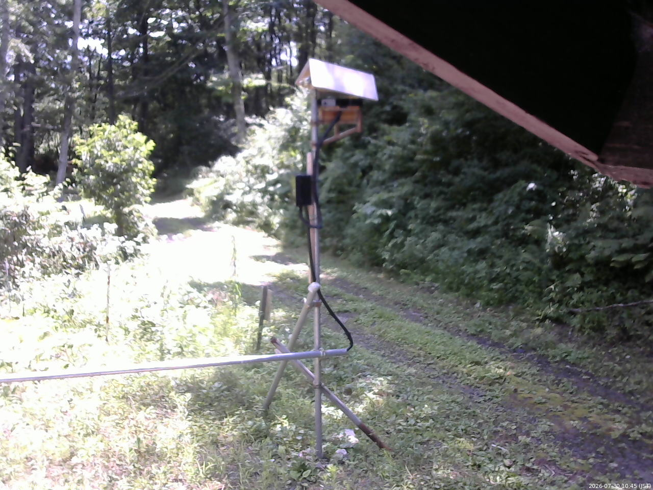 長野県菅平高原 ゆたか山荘 南側 2026/07/30 10:45