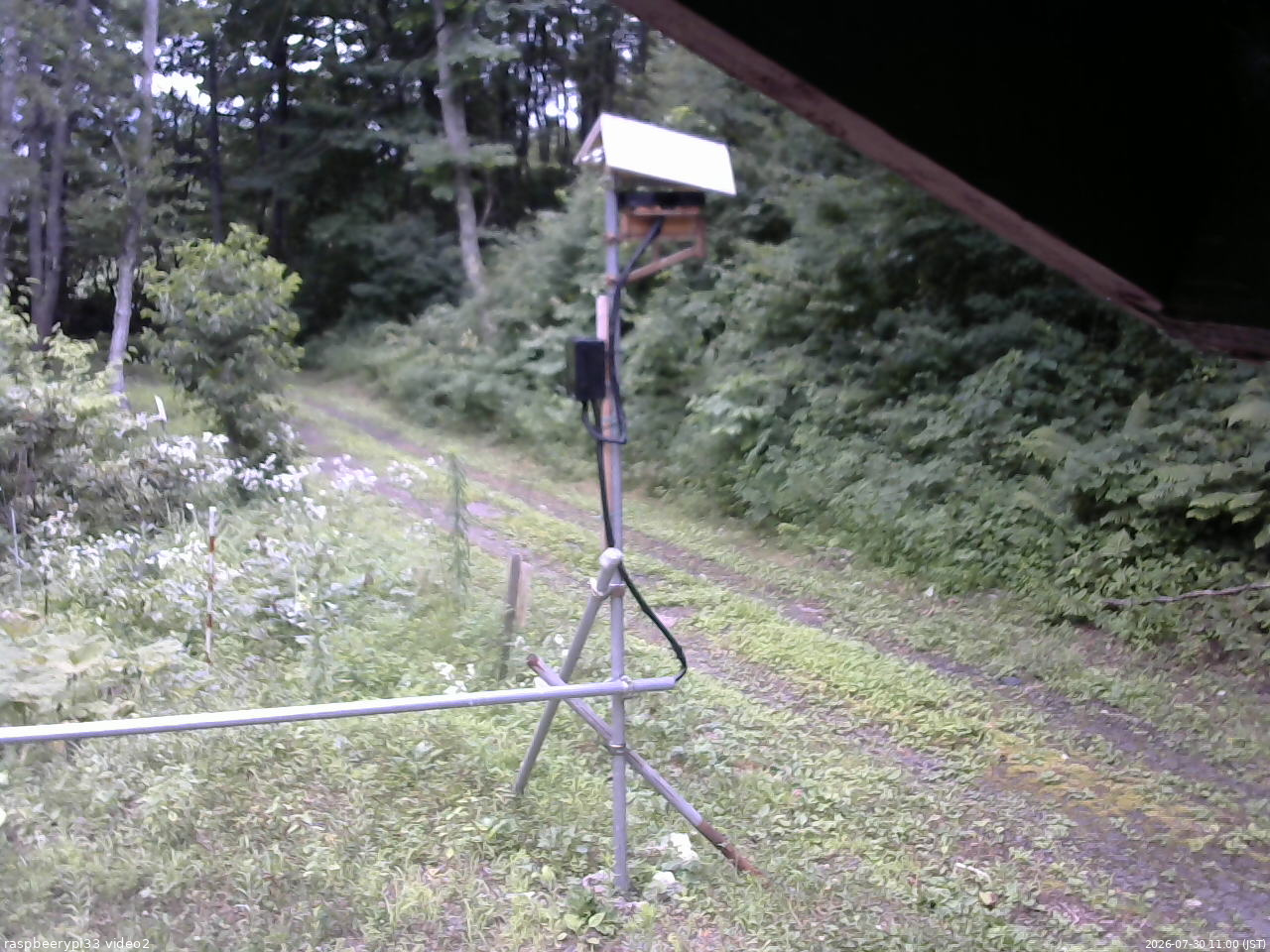 長野県菅平高原 ゆたか山荘 南側 2026/07/30 11:00