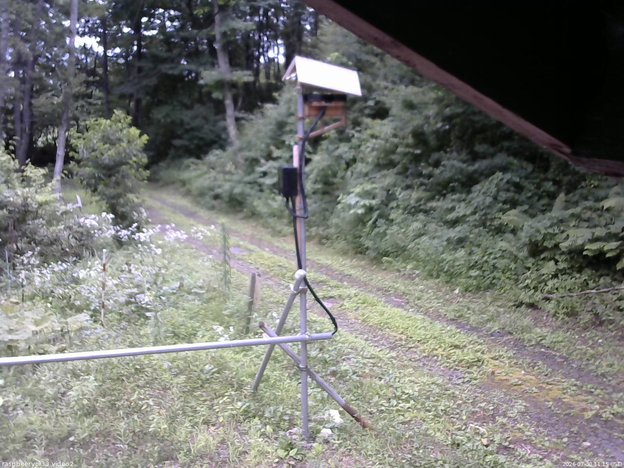 長野県菅平高原 ゆたか山荘 南側 2026/07/30 11:15