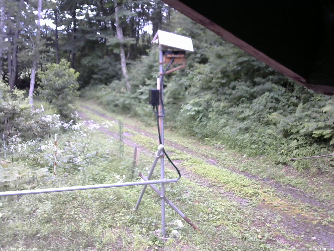 長野県菅平高原 ゆたか山荘 南側 2026/07/30 11:30