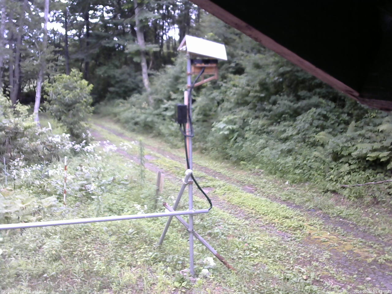 長野県菅平高原 ゆたか山荘 南側 2026/07/30 11:45