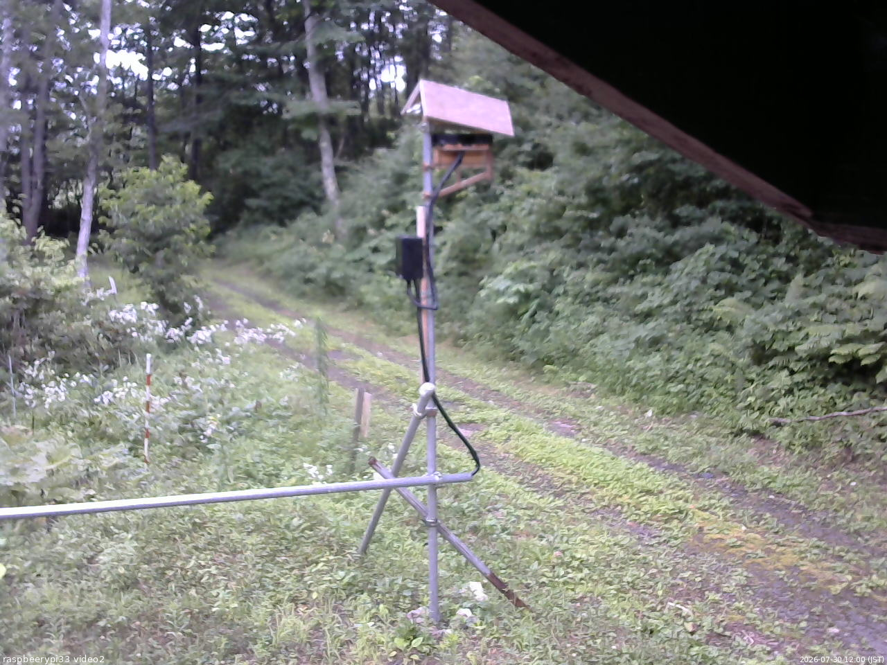 長野県菅平高原 ゆたか山荘 南側 2026/07/30 12:00