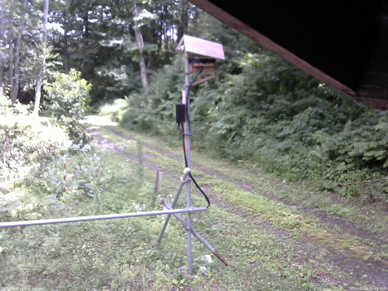 長野県菅平高原 ゆたか山荘 南側 2026/07/30 12:45