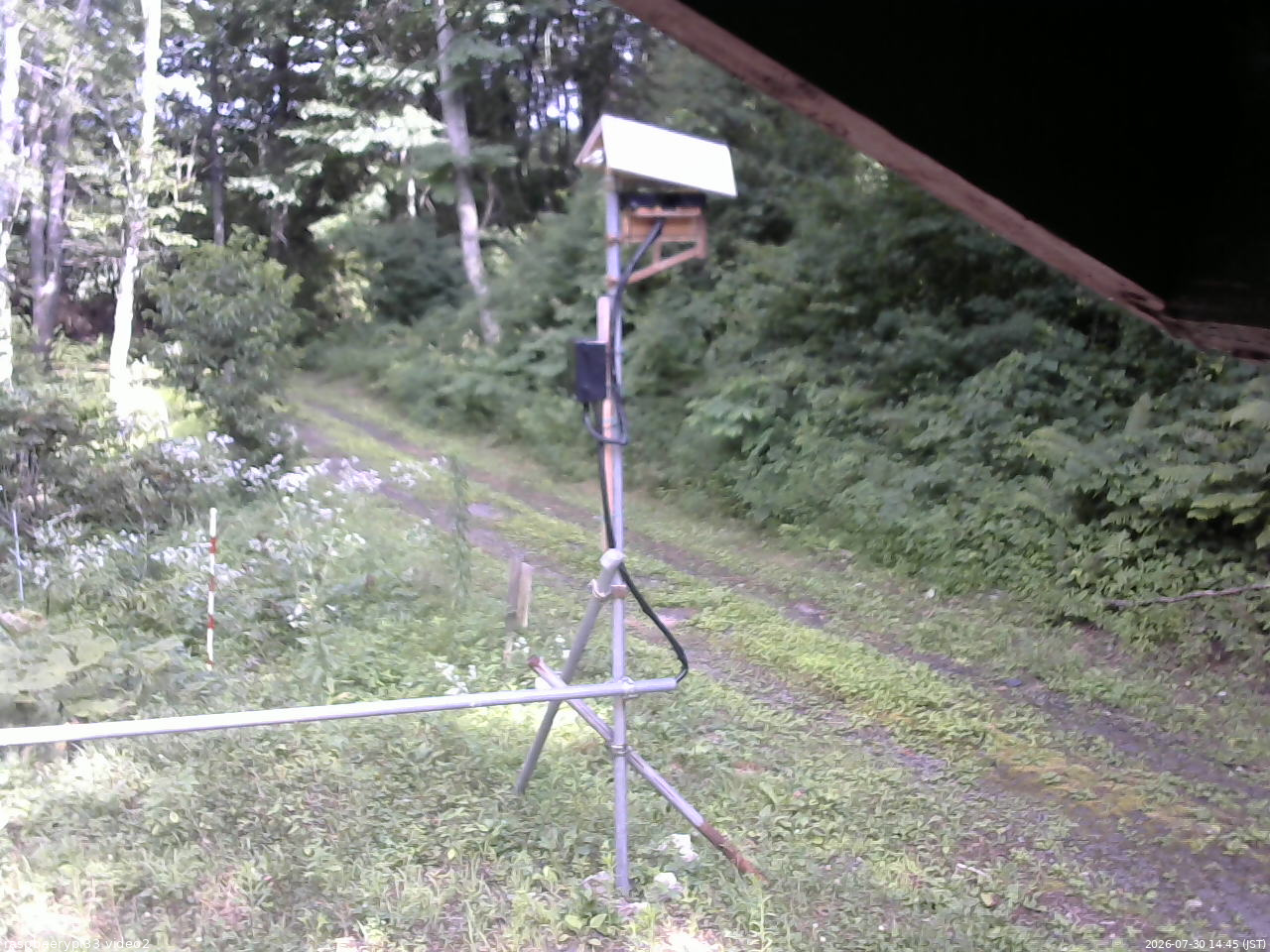 長野県菅平高原 ゆたか山荘 南側 2026/07/30 14:45