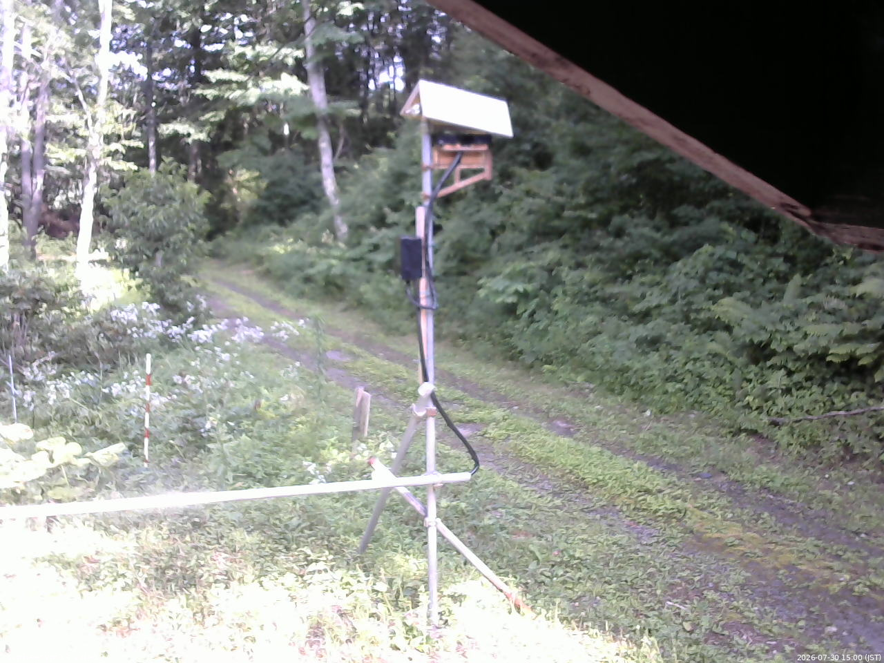 長野県菅平高原 ゆたか山荘 南側 2026/07/30 15:00