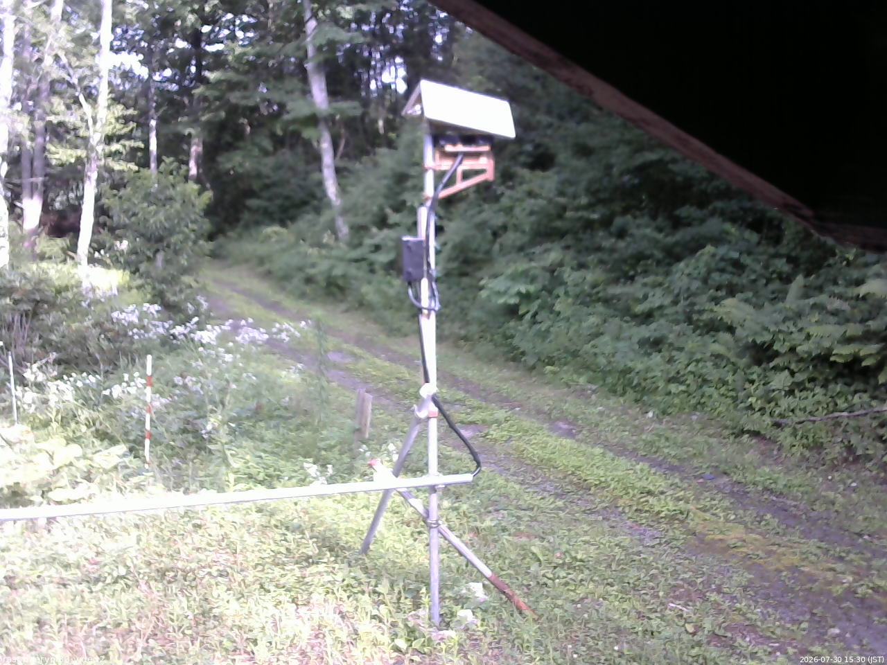 長野県菅平高原 ゆたか山荘 南側 2026/07/30 15:30